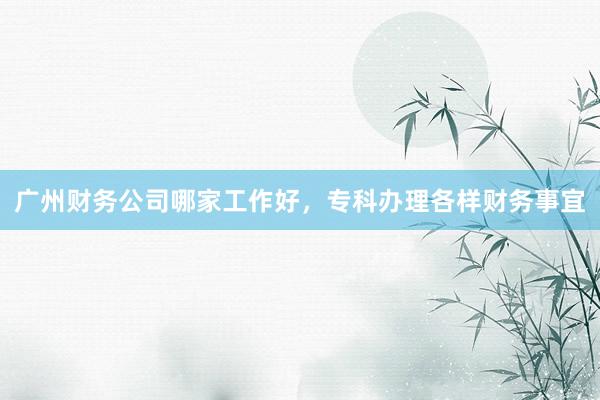 广州财务公司哪家工作好，专科办理各样财务事宜